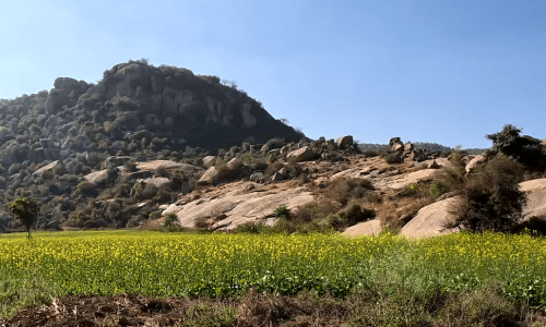 Screenshot 2024-12-22 142202